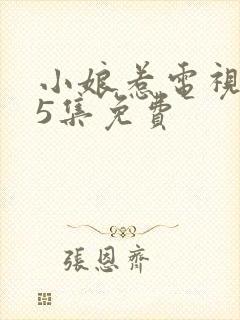 小娘惹电视剧45集免费