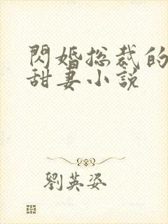 闪婚总裁的契约甜妻小说