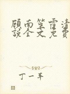 顾南笙霍清寒小说全文免费阅读全文封面