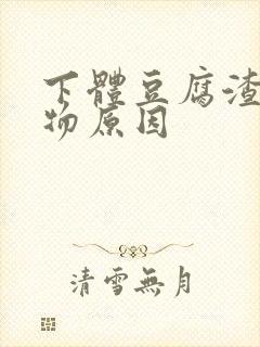 下体豆腐渣分泌物原因