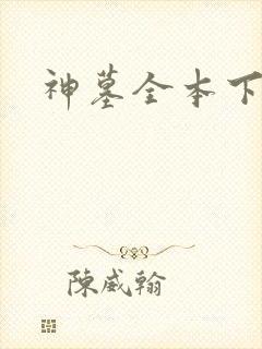神墓全本下载封面