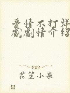 爱情不打烊电视剧剧情介绍