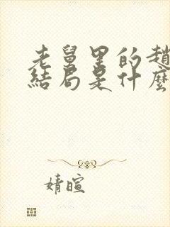 老舅里的赵海龙结局是什么