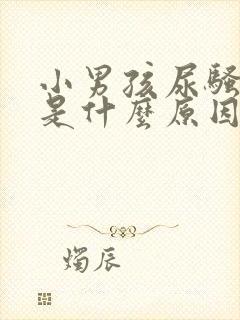 小男孩尿骚味重是什么原因