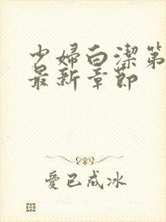 少妇白洁第三部最新章节