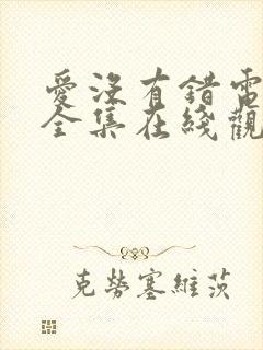 爱没有错电视剧全集在线观看