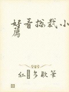 好看总裁小说推荐