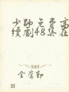 少帅免费高清连续剧48集在线观看