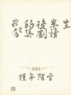 我的后半生剧情分集剧情封面