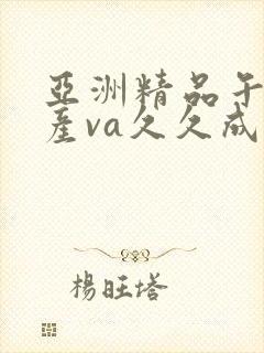 亚洲精品午夜国产va久久成人