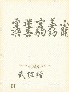 雪迷宫姜小海和梁嘉驹的关系