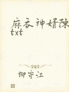 麻衣神婿陈黄皮txt