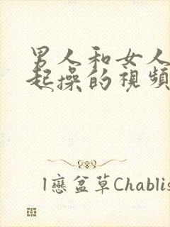 男人和女人在一起操的视频