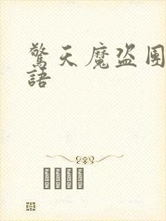 惊天魔盗团2英语