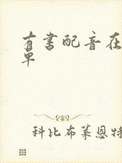 有书配音在哪接单封面