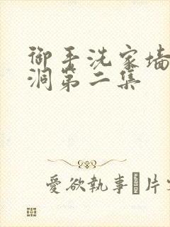 御手洗家墙壁破洞第二集