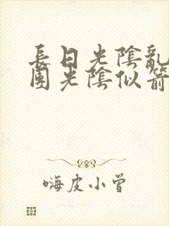 长日光阴乱作一团光阴似箭