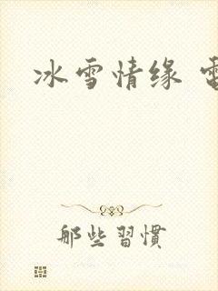 冰雪情缘 电影封面