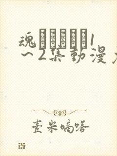 魂インサート1～2集动漫免费播放