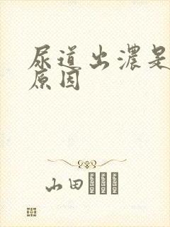 尿道出浓是什么原因