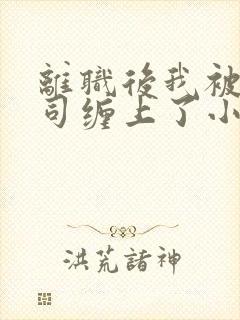 离职后我被前上司缠上了小说在线阅读