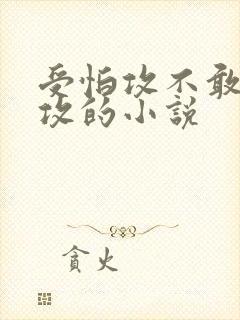 受怕攻不敢忤逆攻的小说