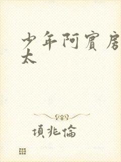 少年阿宾房东太太