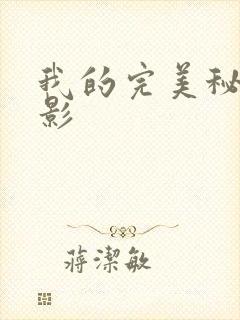 我的完美秘书电影