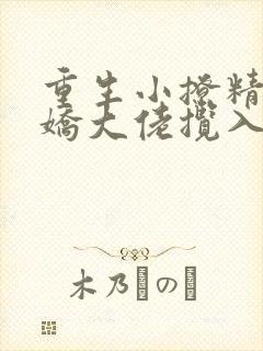 重生小撩精:病娇大佬揽入怀小说