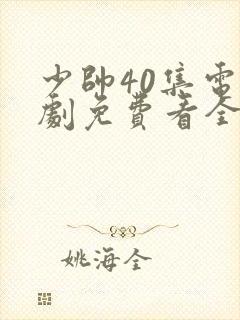 少帅40集电视剧免费看全集