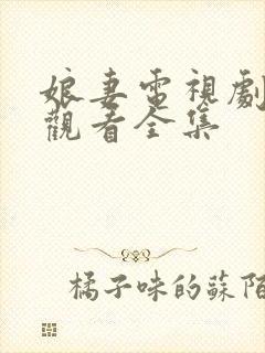 娘妻电视剧免费观看全集