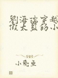 刘海瑞穿越后宫假太监的小说