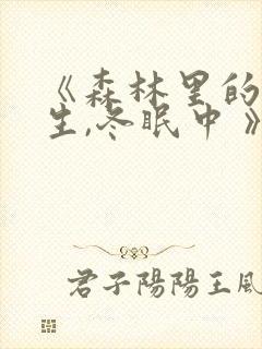 《森林里的熊先生,冬眠中 》