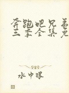 奔跑吧兄弟第十三季全集免费