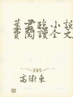 叶君临小说(免费阅读全文)