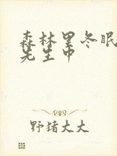 森林里冬眠的熊先生中