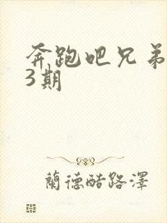 奔跑吧兄弟五季3期