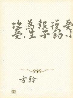 攻为报复受娶了受,生子的小说封面