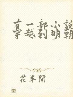 有一部小说主角穿越到明朝当太子