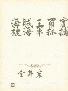 海贼王罗宾娜美被海军抓捕的漫画