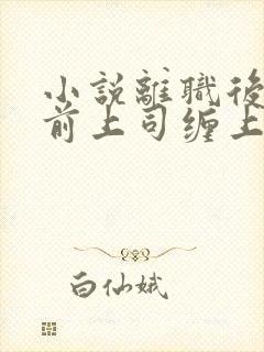 小说离职后我被前上司缠上了在线阅读封面