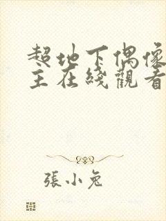 超地下偶像双男主在线观看