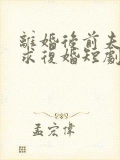 离婚后前夫哭着求复婚短剧