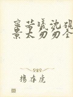 宁若曦沈砚舟盛景太匆匆全集阅读