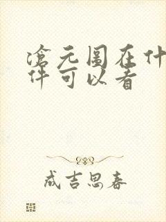 沧元图在什么软件可以看