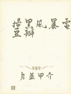 扫黑风暴电视剧豆瓣