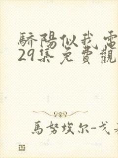 骄阳似我电视剧29集免费观看完整版