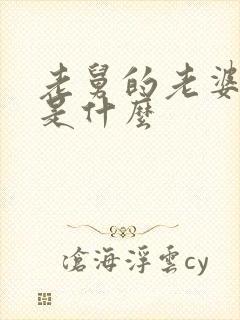 老舅的老婆结局是什么