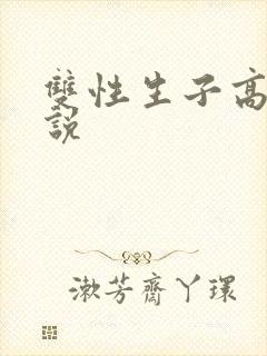 双性生子高h小说