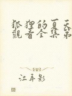 狐狸的夏天免费观看全集第一季